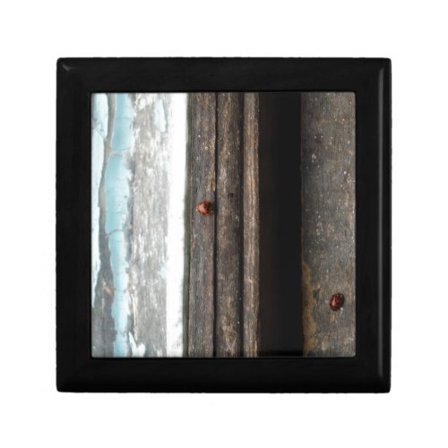 Ladybug on Rustic wood window Gift Box