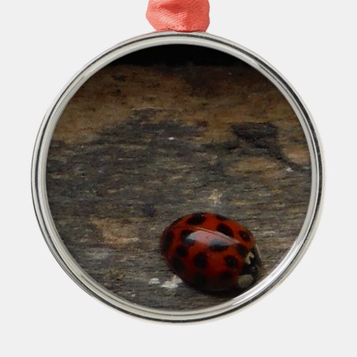 Ladybug on Rustic wood window Metal Ornament