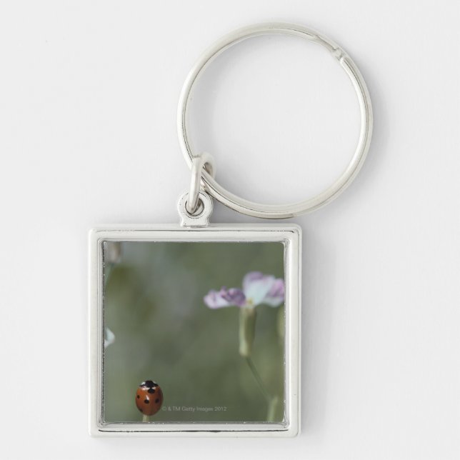 Ladybug on Stem Keychain (Front)