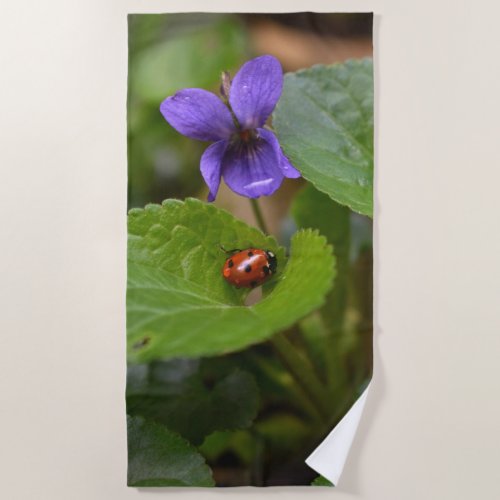 Ladybug on Sweet Violet Flowers Beach Towel