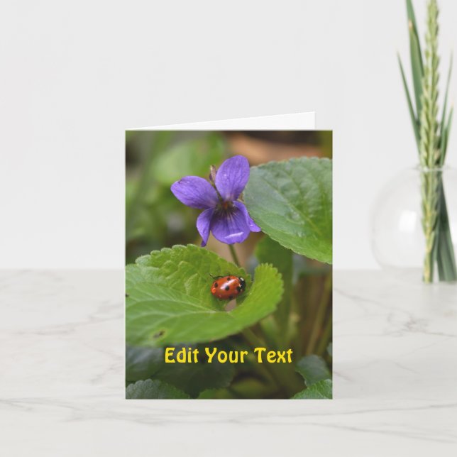 Ladybug on Sweet Violet Flowers Card (Front)