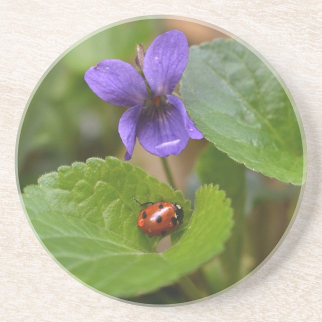 Ladybug on Sweet Violet Flowers Coaster (Front)