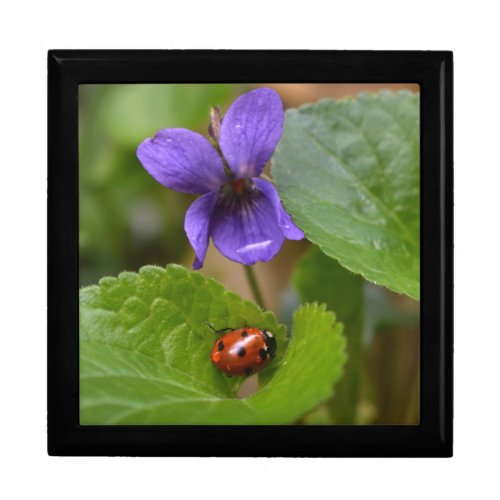 Ladybug on Sweet Violet Flowers Gift Box
