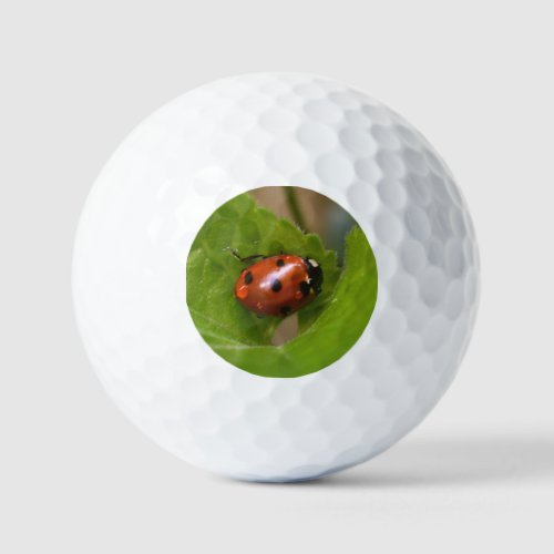 Ladybug on Sweet Violet Flowers Golf Balls