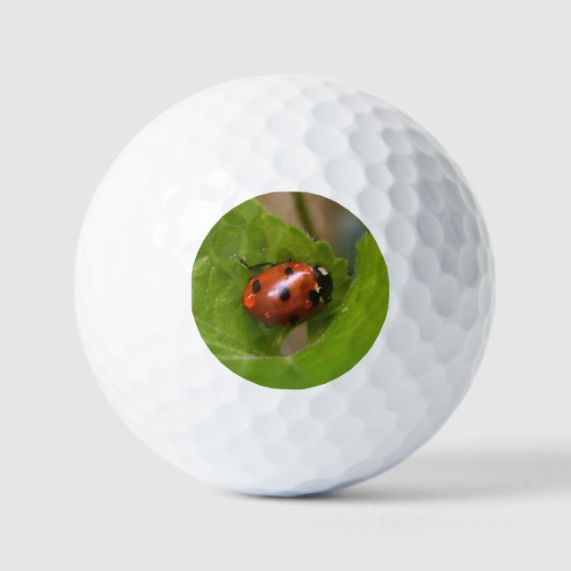 Ladybug on Sweet Violet Flowers Golf Balls (Front)