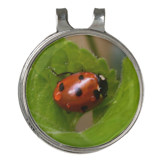 Ladybug on Sweet Violet Flowers Golf Hat Clip (Front)
