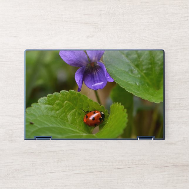 Ladybug on Sweet Violet Flowers HP Laptop Skin (Front)
