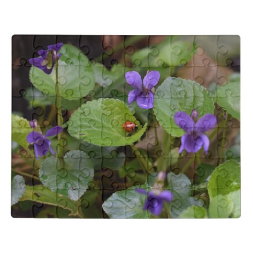 Ladybug on Sweet Violet Flowers Jigsaw Puzzle