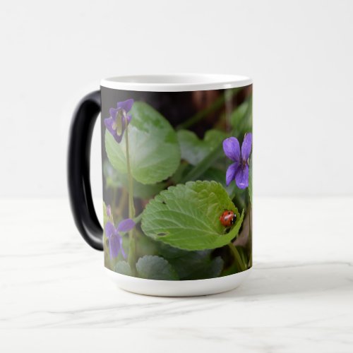 Ladybug on Sweet Violet Flowers Magic Mug