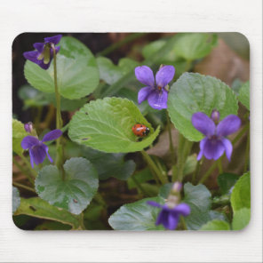 Ladybug on Sweet Violet Flowers Mouse Pad