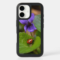 Ladybug on Sweet Violet Flowers