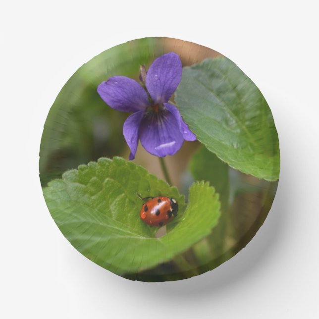 Ladybug on Sweet Violet Flowers Paper Bowls (Front)