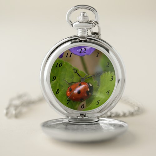 Ladybug on Sweet Violet Flowers Pocket Watch