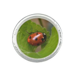 Ladybug on Sweet Violet Flowers Ring
