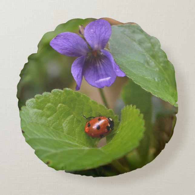 Ladybug on Sweet Violet Flowers Round Pillow (Front)