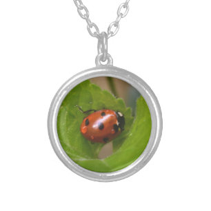 Ladybug on Sweet Violet Flowers Silver Plated Necklace