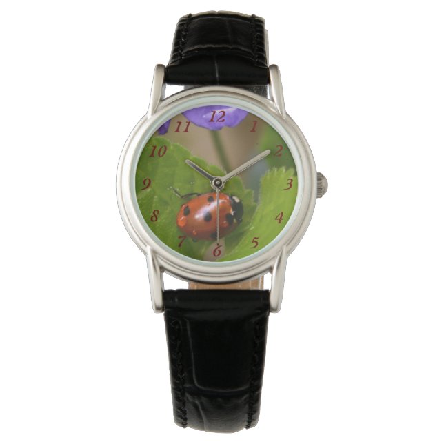 Ladybug on Sweet Violet Flowers Watch (Front)