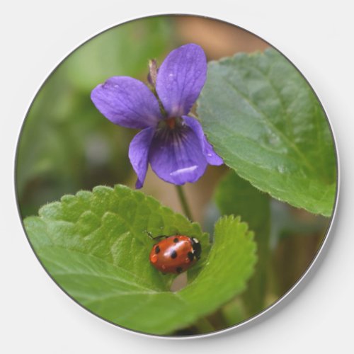 Ladybug on Sweet Violet Flowers Wireless Charger