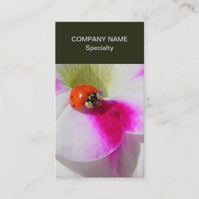 Ladybug on the petunia business card (Front)