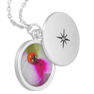 Ladybug on the petunia - Necklace