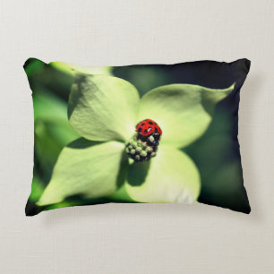 Ladybug On White Dogwood Flower Close Up Accent Pillow