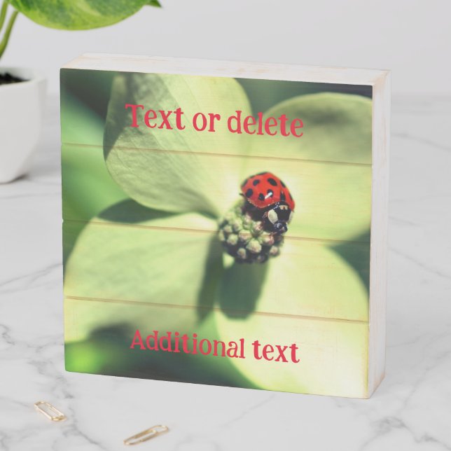 Ladybug On White Dogwood Flower Personalized Wooden Box Sign (In Situ Horizontal)