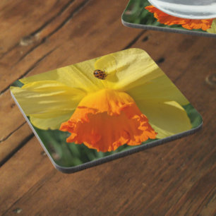 Ladybug on Yellow Daffodil Floral Beverage Coaster