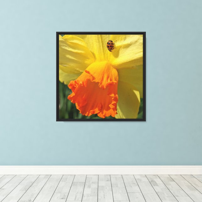 Ladybug on Yellow Daffodil Floral Canvas Print (Insitu(Wood Floor))