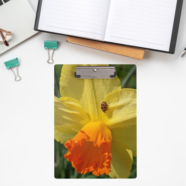 Ladybug on Yellow Daffodil Floral Clipboard (In Situ)