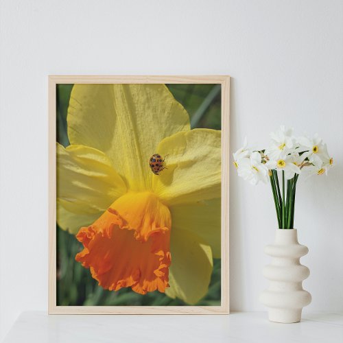 Ladybug on Yellow Daffodil Floral Photo Print