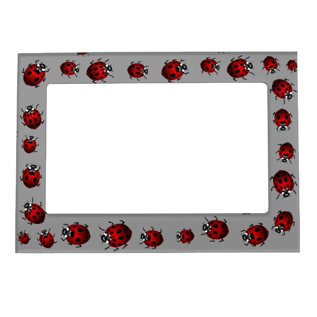 Ladybug Picture Frame Ladybird Art Frame (Front)