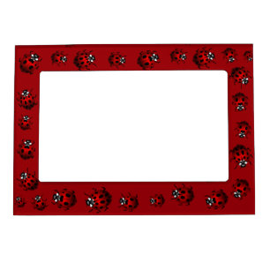 Ladybug Picture Frame Ladybird Art Frame