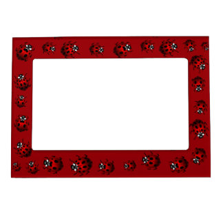 Ladybug Picture Frame Ladybird Art Frame
