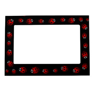 Ladybug Picture Frame Ladybird Art Frame