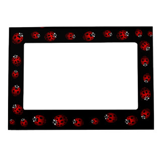Ladybug Picture Frame Ladybird Art Frame