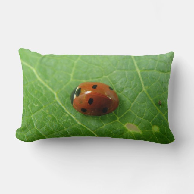 Ladybug Pillow (Front)
