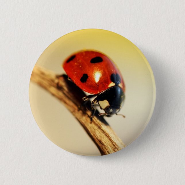 Ladybug Pinback Button (Front)