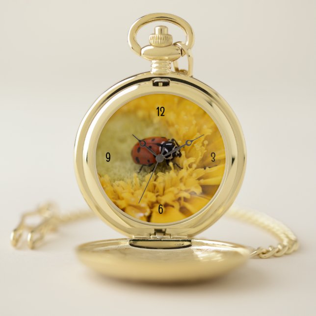 Ladybug Pocket Watch (Inside)