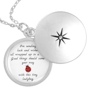 Ladybug Poem: Wishes, Hugs & Good Luck Locket Necklace