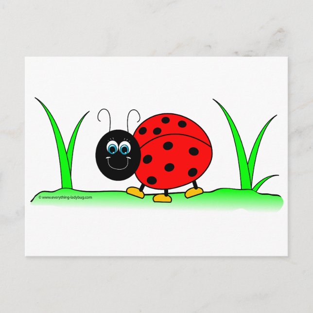 Ladybug Postcard (Front)