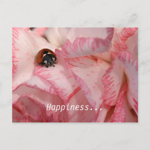 Ladybug Postcard