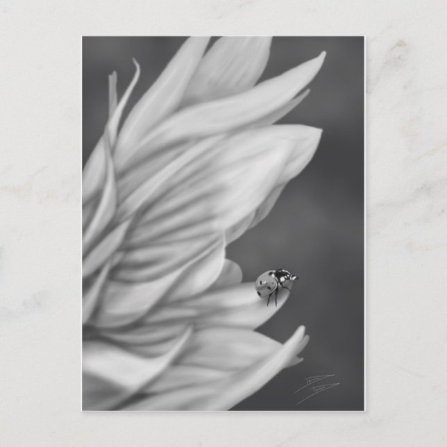 Ladybug Postcard (Front)