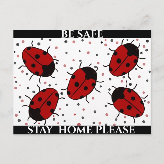 LADYBUG POSTCARD (Front)