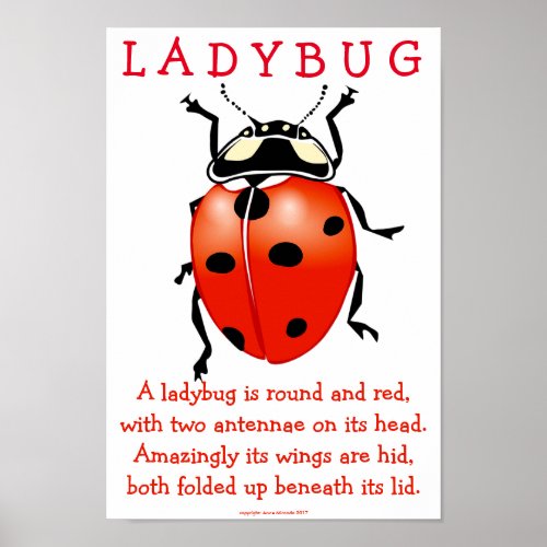 Ladybug Poster