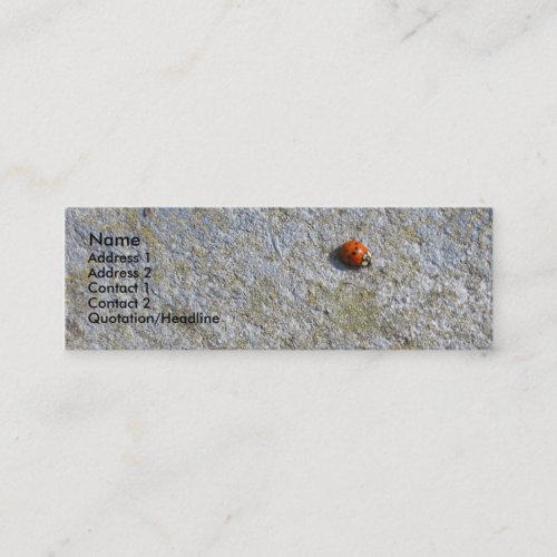 Ladybug Profile Card Business Card