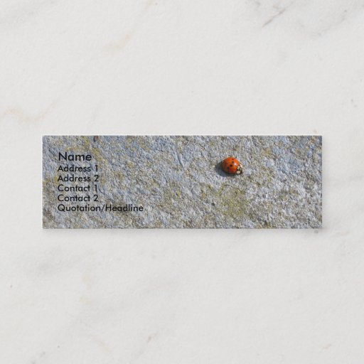 Customizable Ladybug Profile Card Business Card
