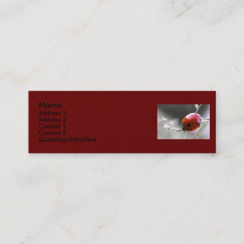 Ladybug Profile Card Business Card Template