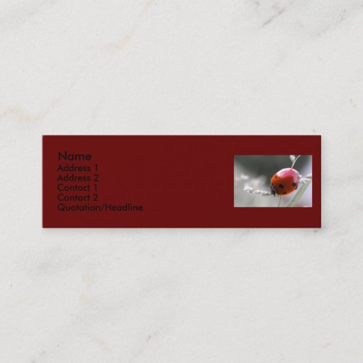 Customizable Ladybug Profile Card Business Card Template