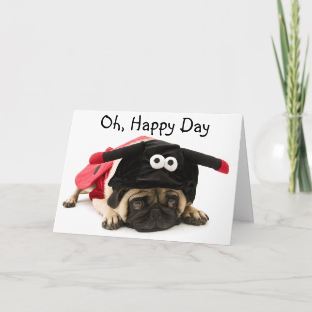 Ladybug Pug Card (Front)