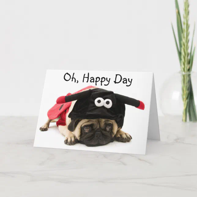 Pug Ladybug Ladybug Pug Card | Zazzle
